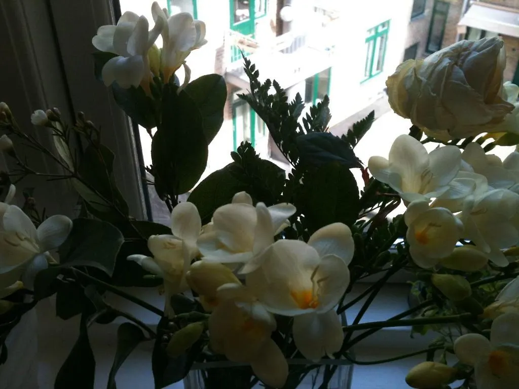 Frühstückspension The Pea Blossom B&B Kopenhagen